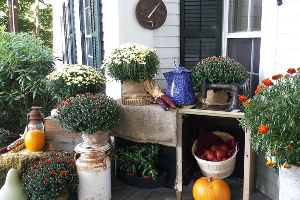 Caption Title - Lorem ipsum dolor sit amet